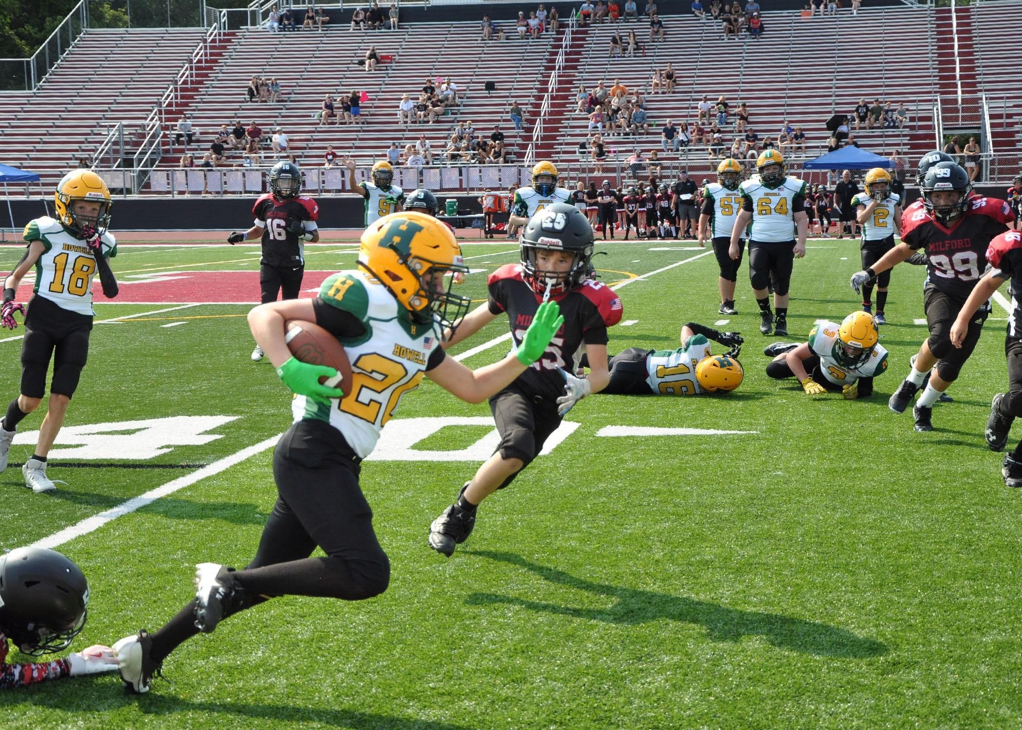 Families in the stands